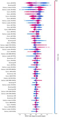 Development of a Machine-Learning-Based Classifier for the Identification of Head and Body Impacts in Elite Level Australian Rules Football Players